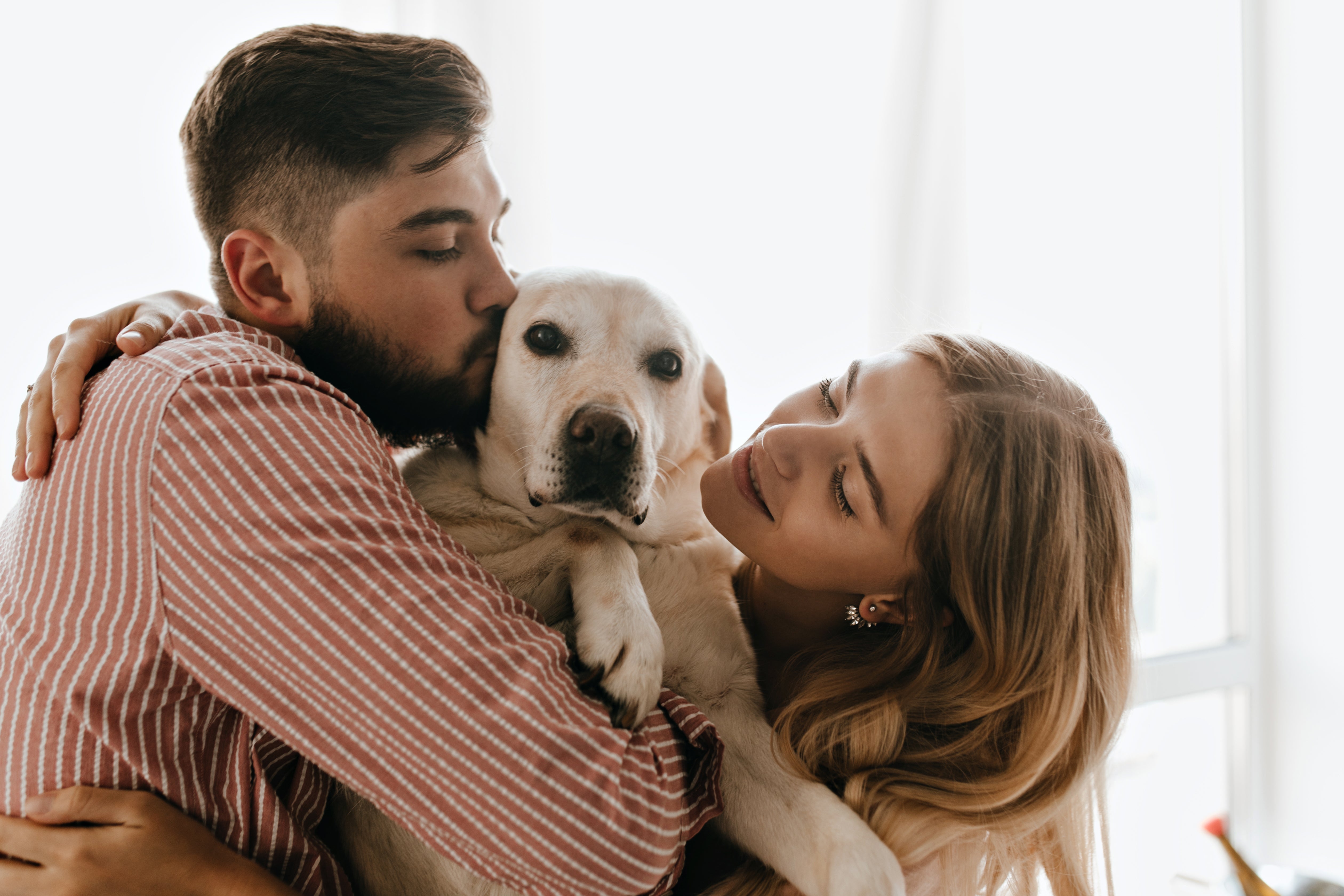 Hund wird geküsst