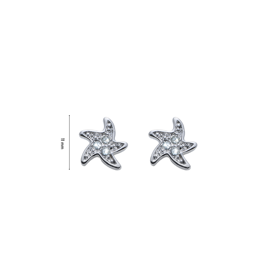Starfish Small Pin Earrings mit Maße