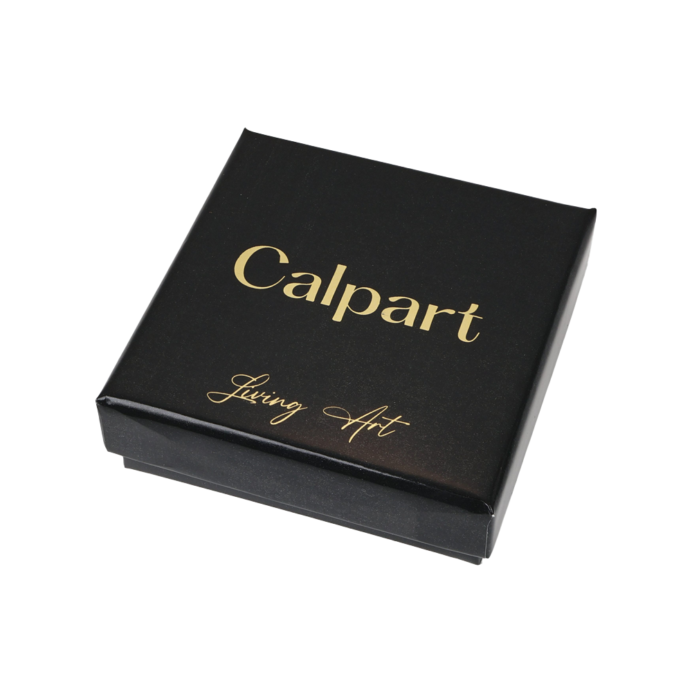 Calpart Schmuckverpackung