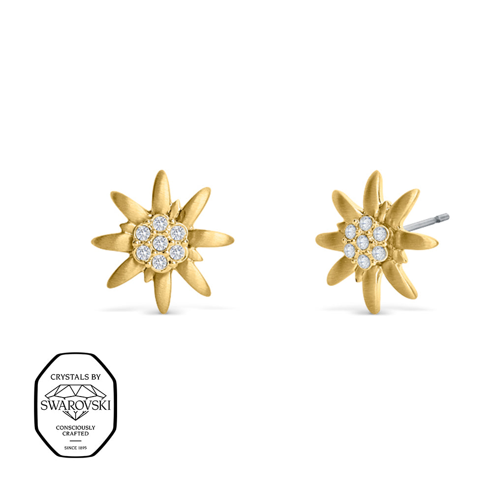 Edelweiß Ohrringe in Gold mit Swarovski® Kristallen