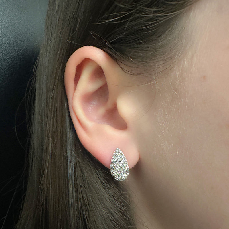 Wind pin earrings