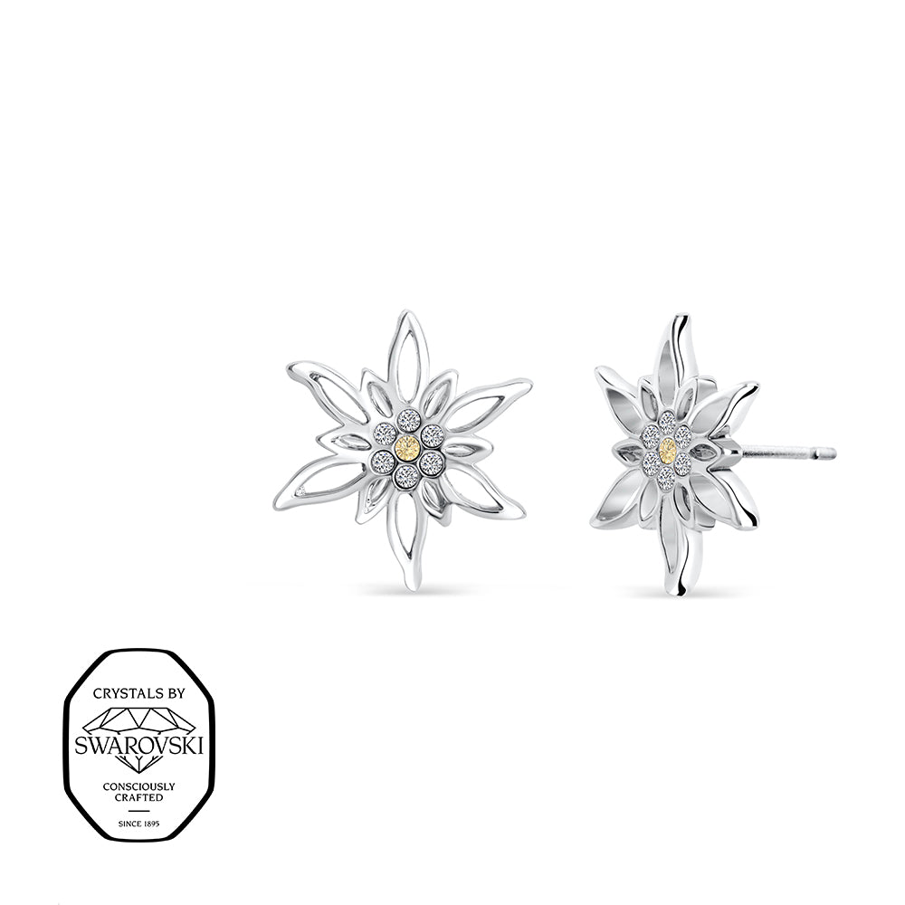 Edelweiß Ohrstecker mit Swarovski® Kristallen in Silber