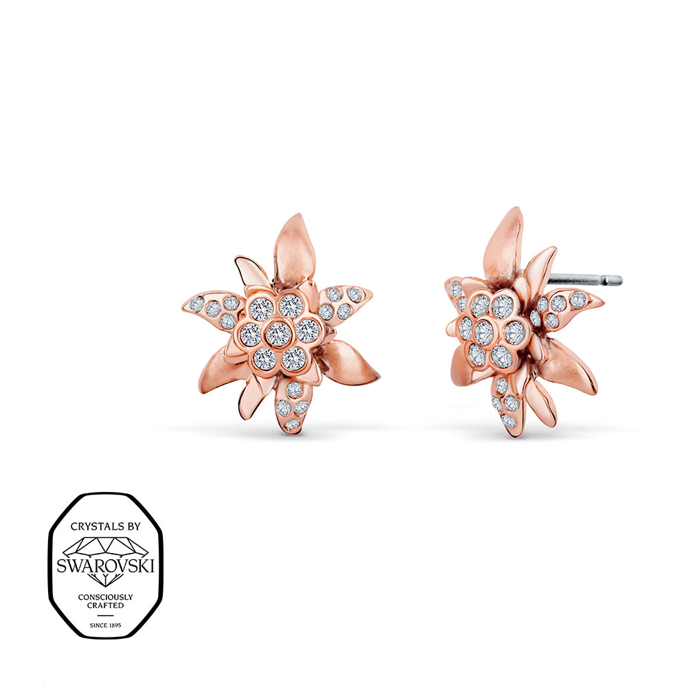 Edelweiß-Ohrringe Roségold mit Swarovski® Kristallen