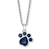 Crystal Paw Anhänger mit Kette Produktfoto