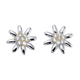 Orecchini piccoli con stella alpina in argento