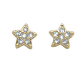 Mini Star Pin Earrings