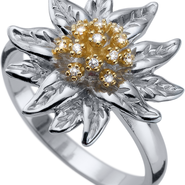 Ring edelweiss 2025