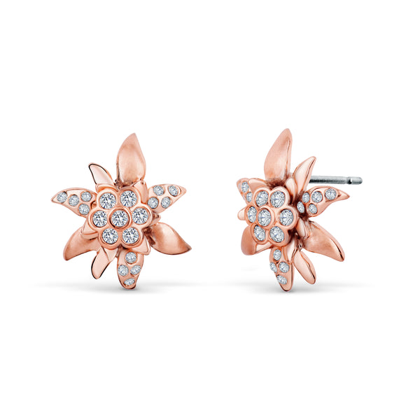 Edelweiss earrings